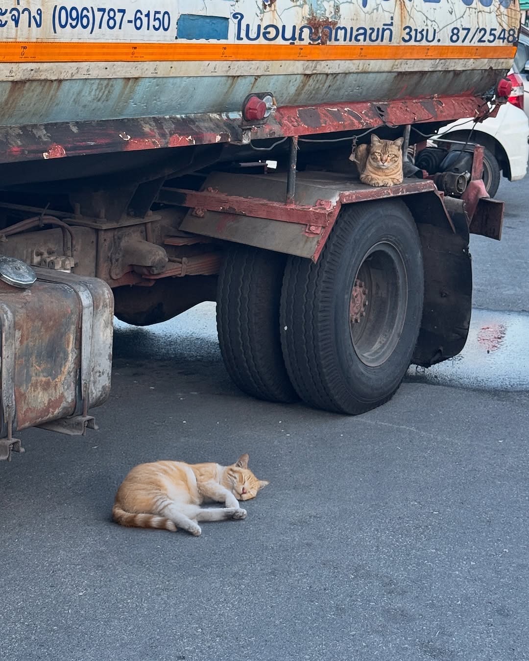 ごとうまさとし　SLEEP IS YOUR number one healing tool. Stop scrolling, Let's Sleep.5